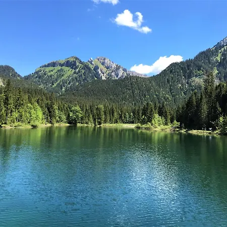 شقة Am Muehlbach 2 *