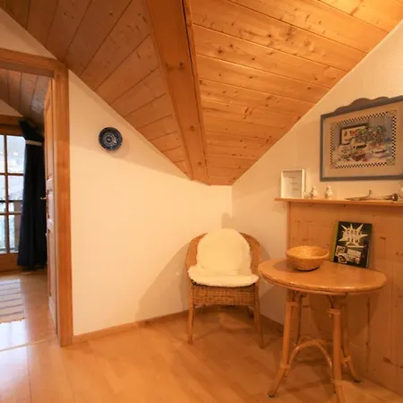 Apartmán Am Muehlbach 2 *